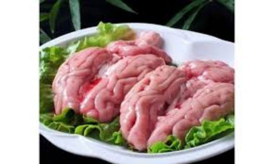 Picture of Maghaz (Brain)
