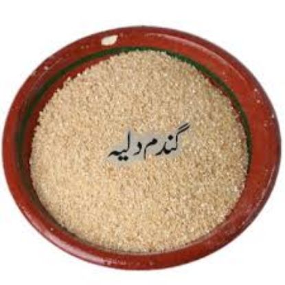Picture of Gandam Daliya