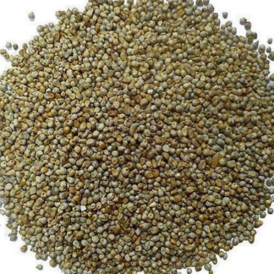 Picture of Bajra